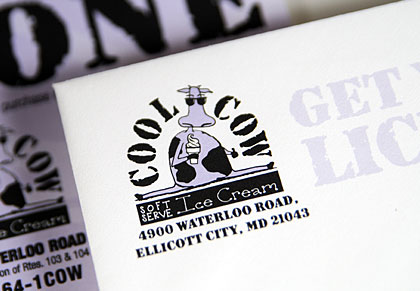 Cool Cow identity view 1