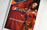 AOL and Pepsi Sales brochure divider page